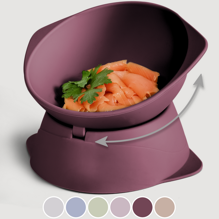 Elevated Adjustable Silicone Cat Bowl