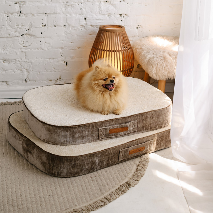 TYSON Orthopedic Mattress for Dogs & Cats