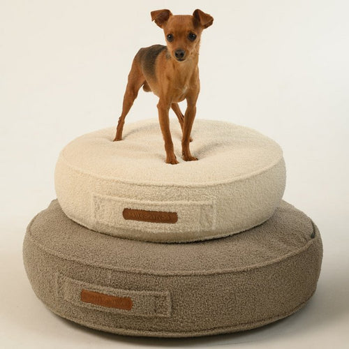 Charlie Dog Mattress