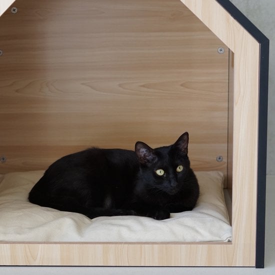 BLACK Wooden Pet House