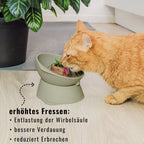 Elevated Adjustable Silicone Cat Bowl