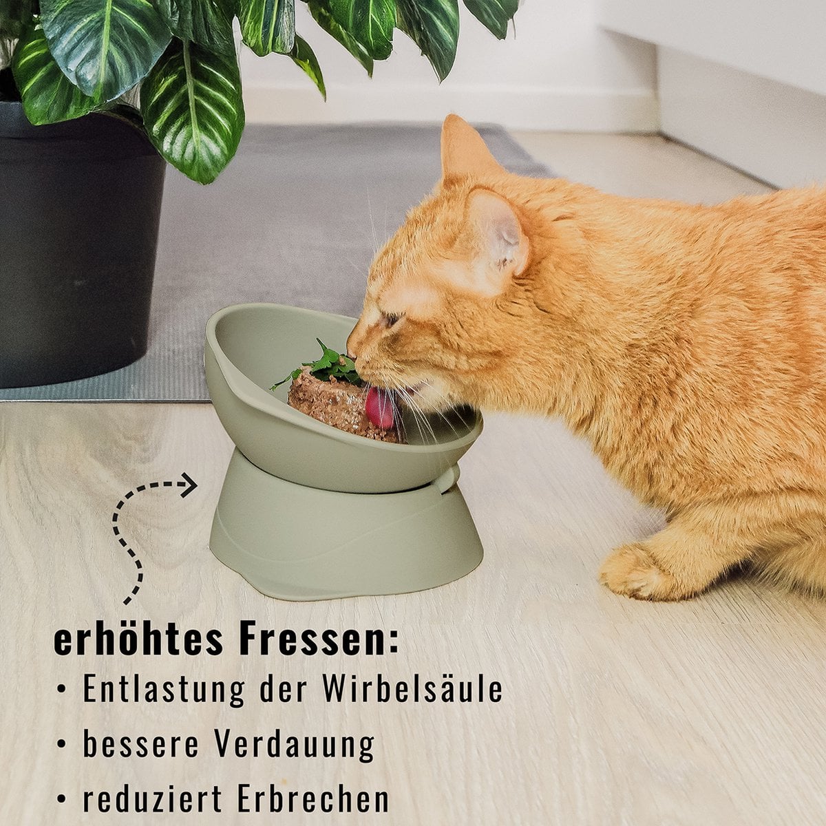 Elevated Adjustable Silicone Cat Bowl