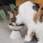 NE & NO Elevated Ceramic Cat Bowl Stone Look