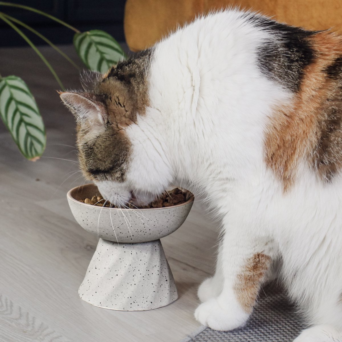 NE & NO Elevated Ceramic Cat Bowl Stone Look