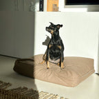 MOCHA Cotton Dog & Cat Pillow