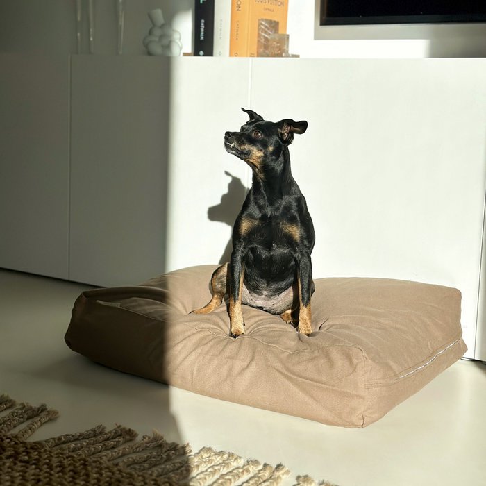 MOCHA Cotton Dog & Cat Pillow