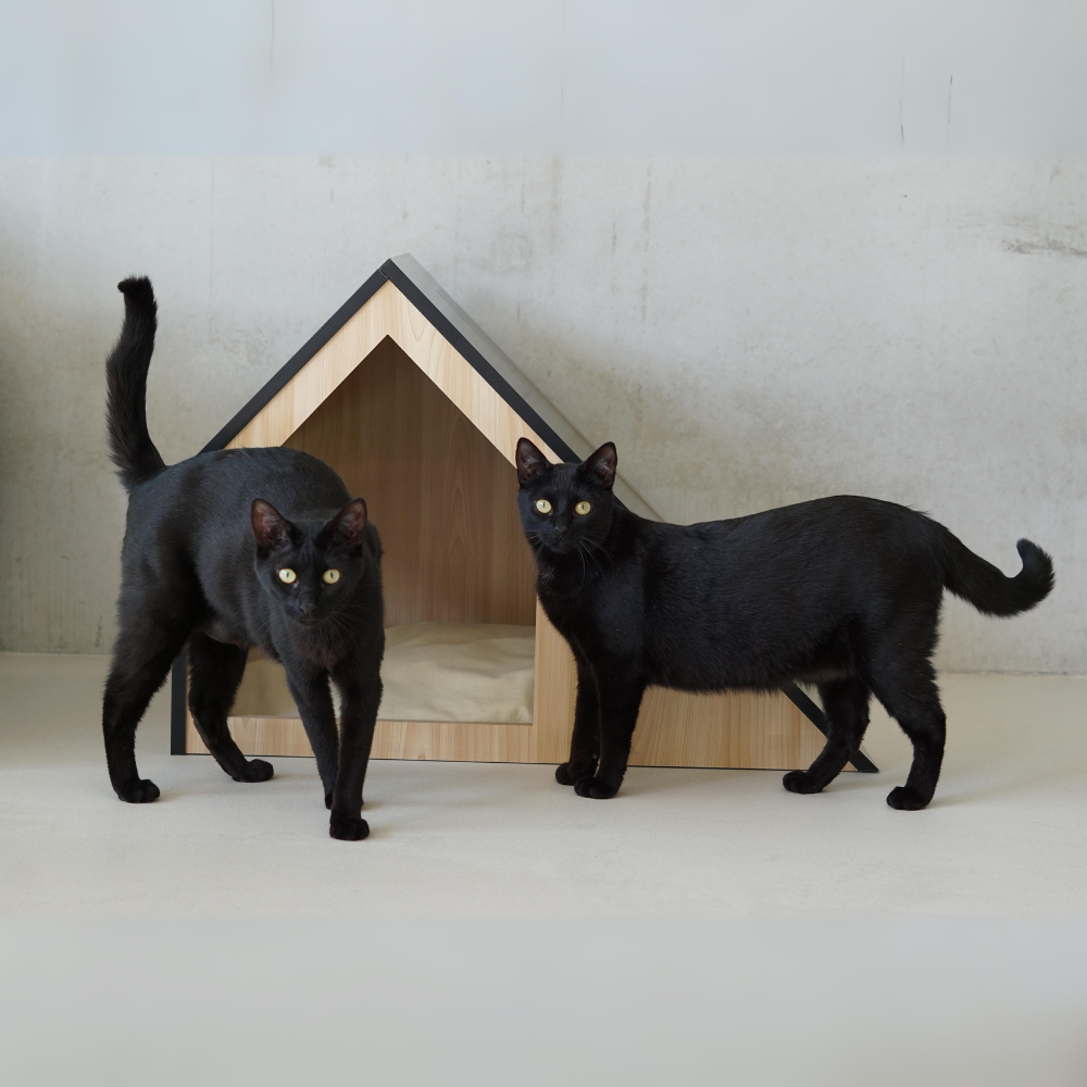 Cat House with Cotton Cushion
