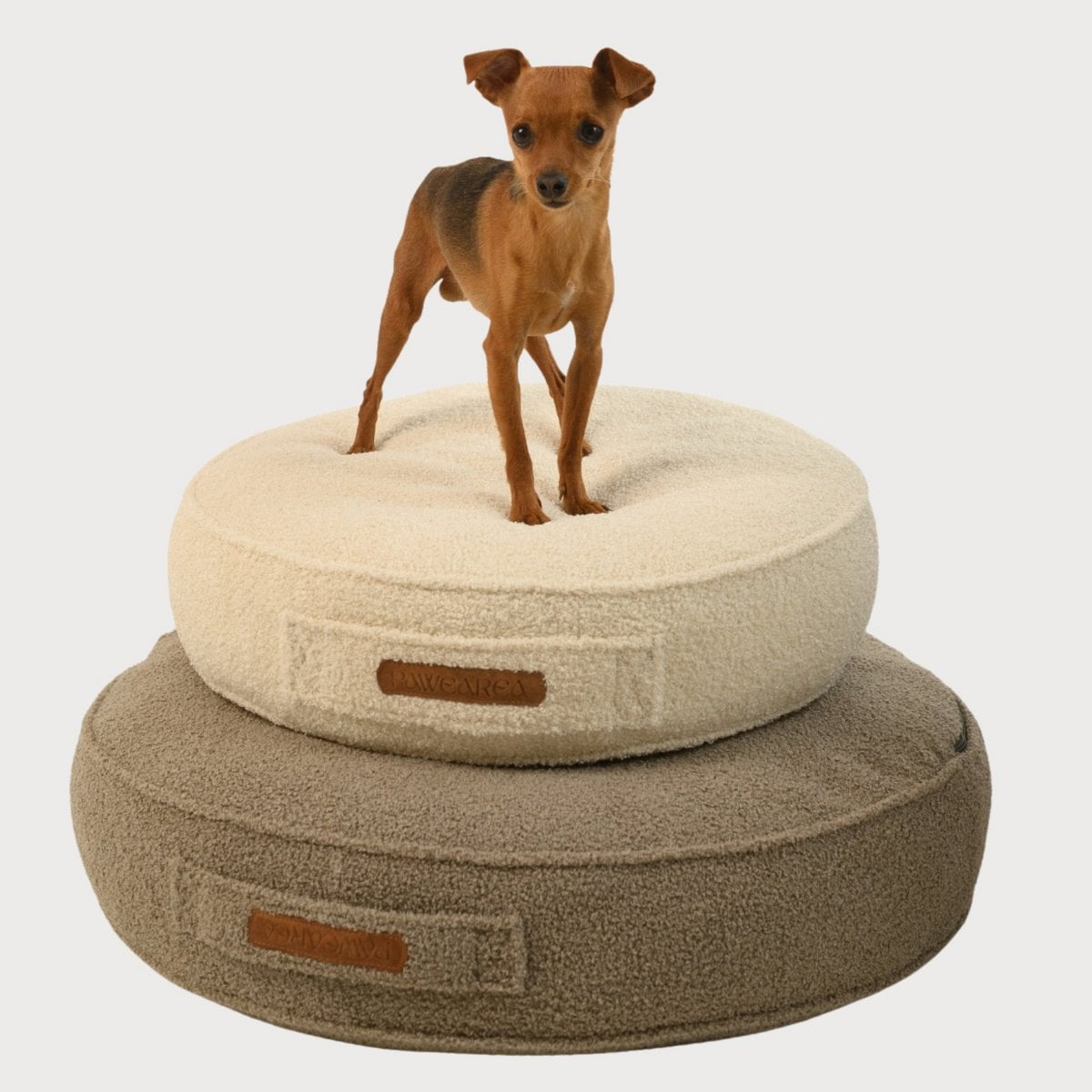 Charlie Dog Mattress