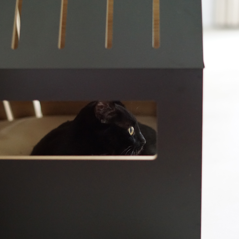 Cat House with Cotton Cushion