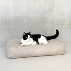VANILLA Cotton Dog & Cat Pillow