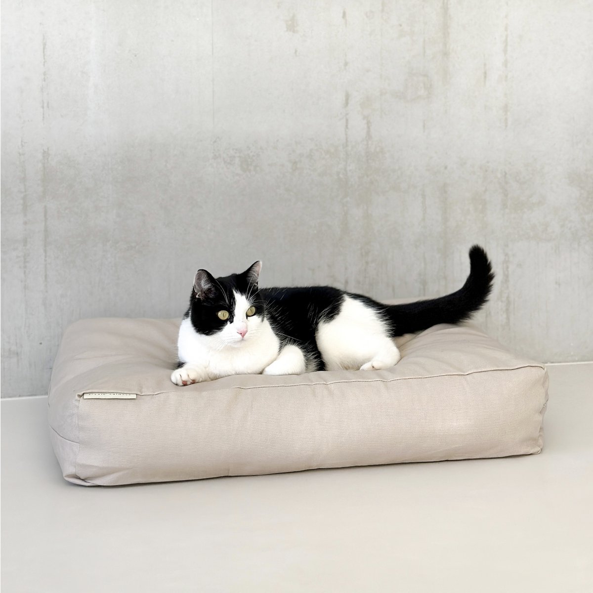 VANILLA Cotton Dog & Cat Pillow