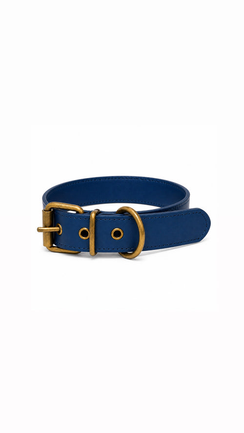 Monaco Blue Classic Collar