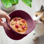 Elevated Adjustable Silicone Cat Bowl