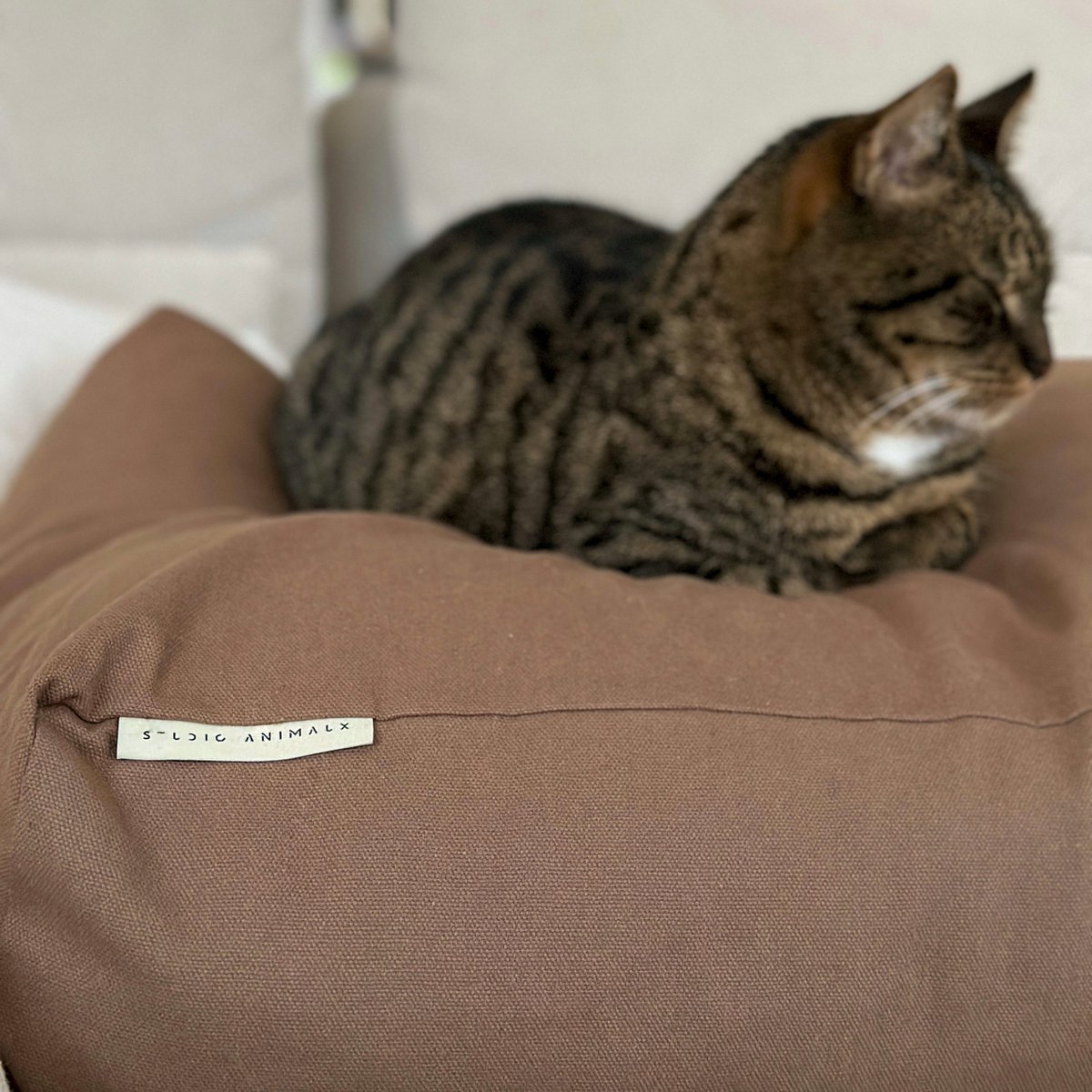MOCHA Cotton Dog & Cat Pillow