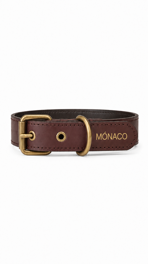Collar Clásico Marrón Mónaco
