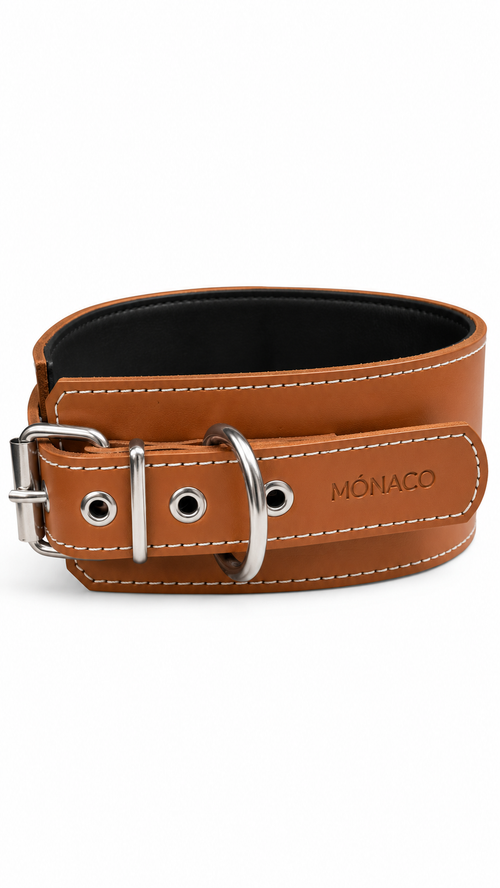 Camel Monaco Control Collar