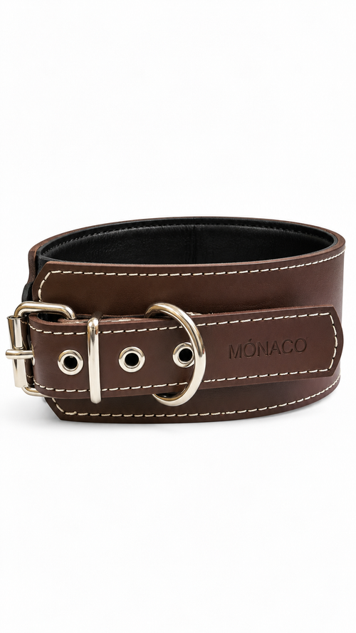 Monaco Brown Control Collar