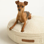 Charlie Dog Mattress