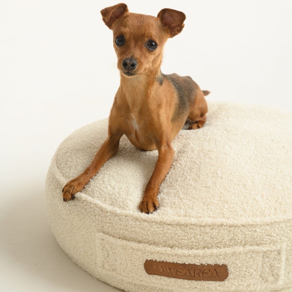 Charlie Dog Mattress