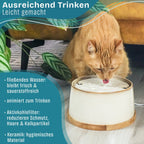 NE & NO Ceramic Cat Fountain with Bamboo Base